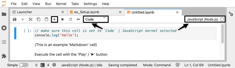 Screenshot of JupyterLab JavaScript check