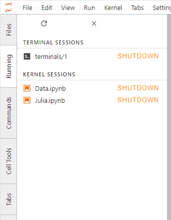 screenshot of jupyter lab kernel management